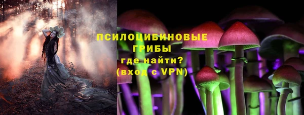 spice Володарск