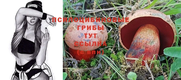МДПВ Волоколамск