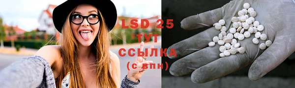 spice Володарск