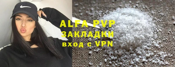 СК Вязьма