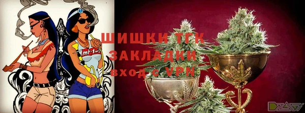МДПВ Волоколамск