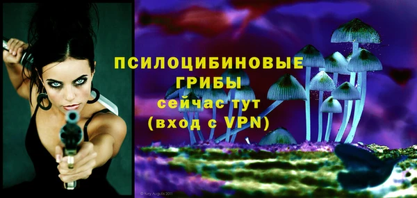 ПСИЛОЦИБИНОВЫЕ ГРИБЫ Арсеньев