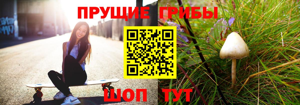 Галлюциногенные грибы Psilocybine cubensis Красноуфимск