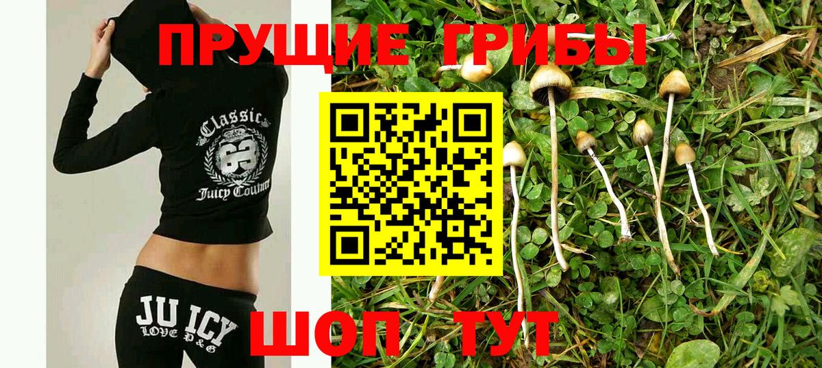 Псилоцибиновые грибы Psilocybine cubensis  Галлюциногенные грибы ЛСД  Красноуфимск  Вход с VPN 