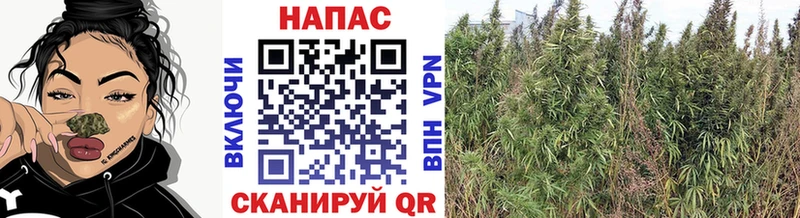 Каннабис тримм  Красноуфимск 